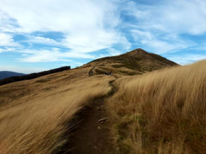 Baza w Bieszczady, Terka